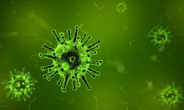 Plague Inc. downloads surge after Chinese coronavirus revelations